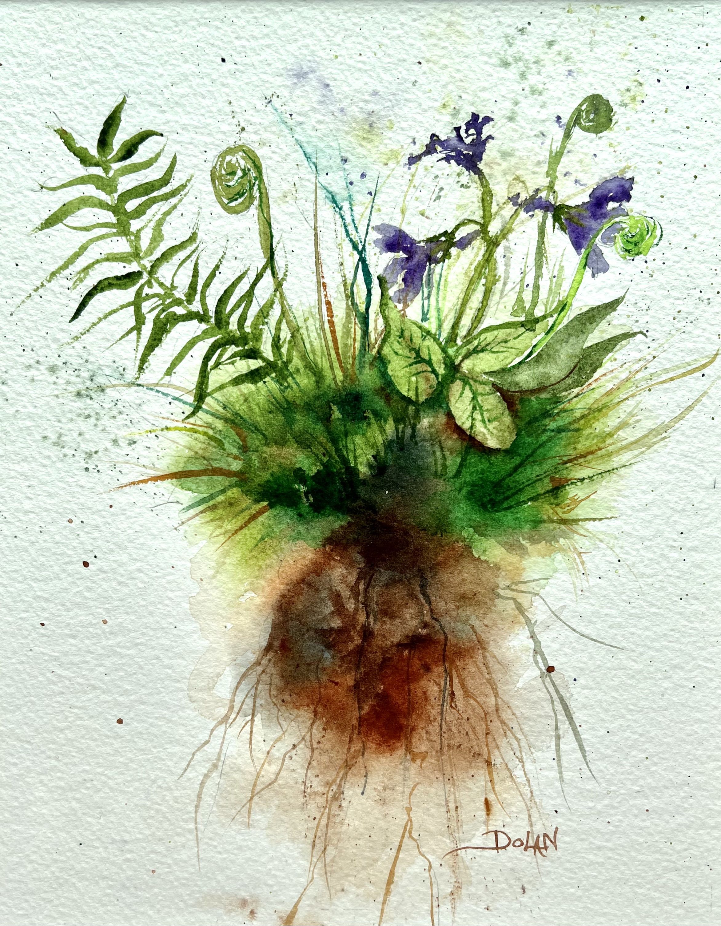 Ferns Violets